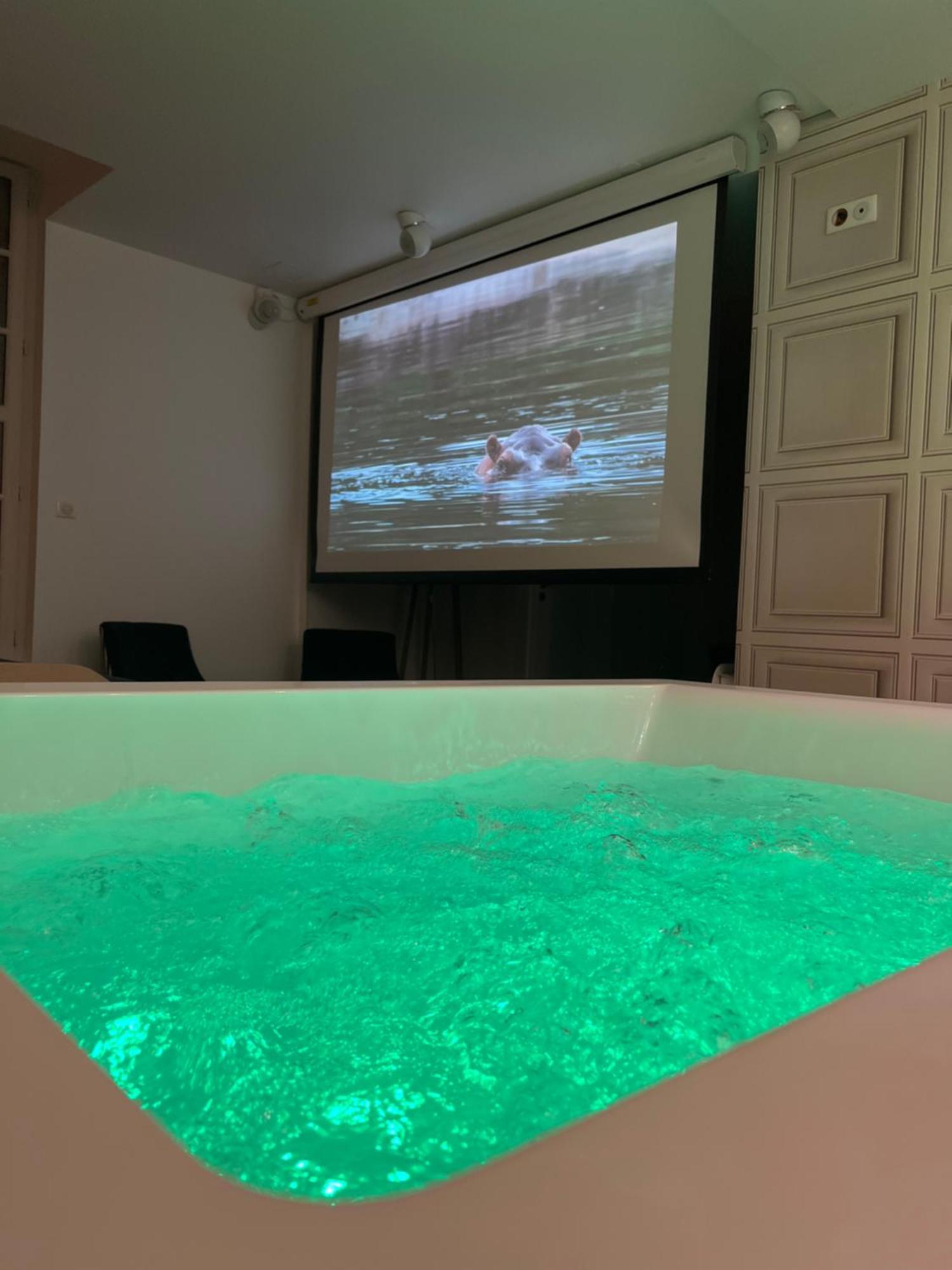 Appartement Avec Jacuzzi Sauna & Home Cinema - Nid D'Angers Exteriör bild